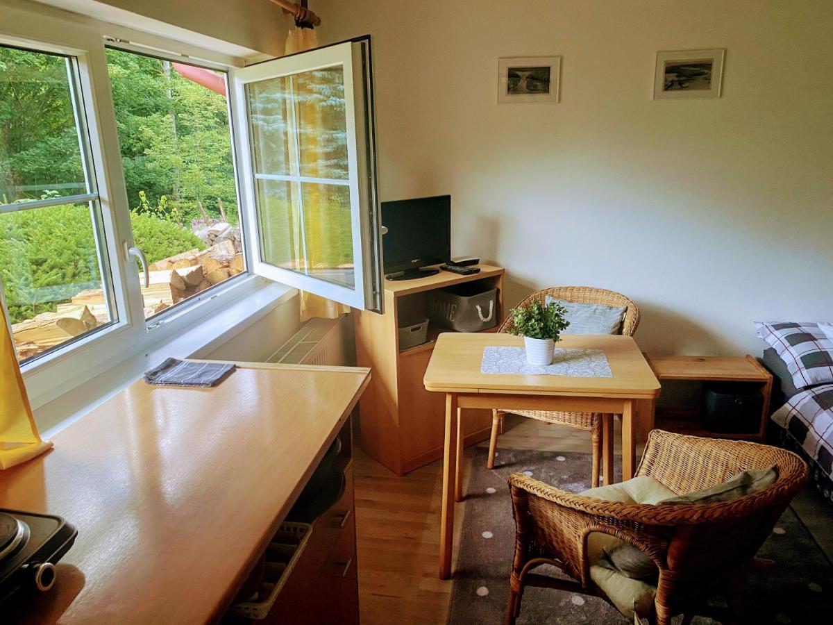 Apartman U Potucku Apartment Zelezna Ruda Exterior photo